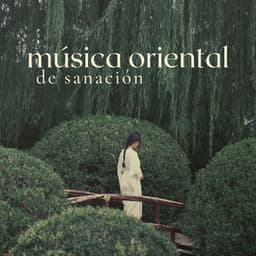 Música Oriental de Sanación: Canciones para Terapias Alternativas y Medicina Holística - Musica Oriental Ensemble