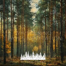 Whispering Leaves Meditation - Milion Trees