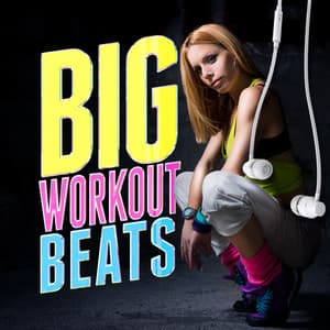 Big Workout Beats - Dance Hits 2014