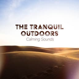 The Tranquil Outdoors - Calming Sounds