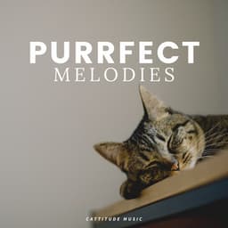 Purrfect Melodies - Music for Cats Peace