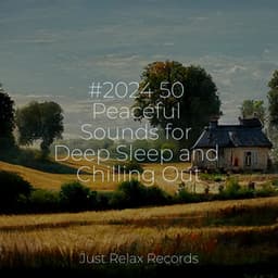 #2024 50 Peaceful Sounds for Deep Sleep and Chilling Out - Zen Music Garden