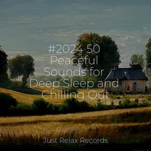 #2024 50 Peaceful Sounds for Deep Sleep and Chilling Out - Zen Music Garden