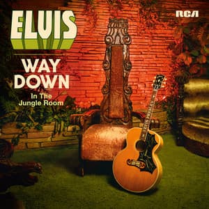 Way Down in the Jungle Room - Elvis Presley