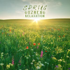 Spring Guzheng Repose - Jim Sieber