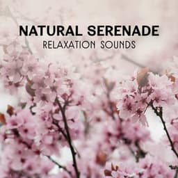 Natural Serenade – Relaxation Sounds, Gentle Meditation, Healing Music for Peace & Harmony, Spiritual Experience - Awesome Nature Sounds Ensemble