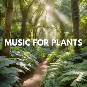 Music for Plants - Music for Plants
