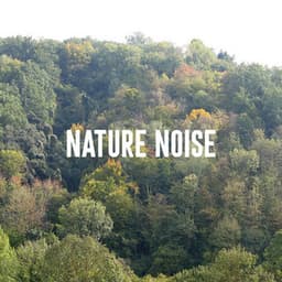 Nature Noise - Rain Sounds Lab