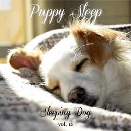 Sleeping Dog Volume 12 - Puppy Sleep