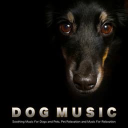 Dog Music: Soothing Music For Dogs and Pets, Pet Relaxation and Music For Relaxation - Dog Music