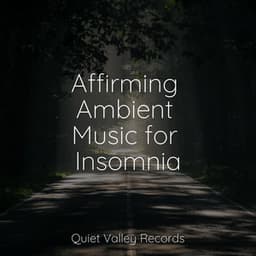 Affirming Ambient Music for Insomnia - Big Sounds