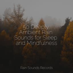 50 Deeply Ambient Rain Sounds for Sleep and Mindfulness - Nature Sounds Nature Music
