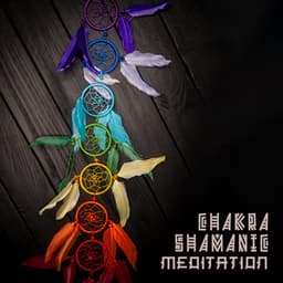 Chakra Shamanic Meditation - Chakra Frequencies