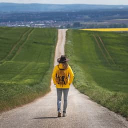 Effervescent Notes: A Chill Music Journey - The Urban Ambience