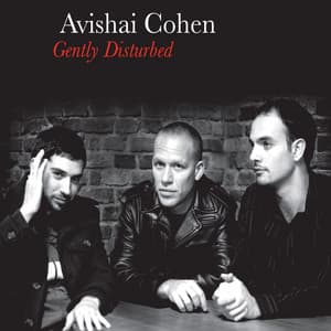Gently Disturbed - Avishai Cohen