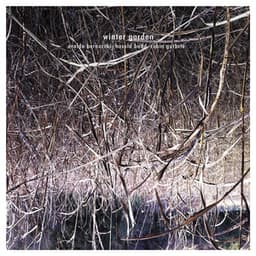 Winter Garden - Eraldo Bernocchi