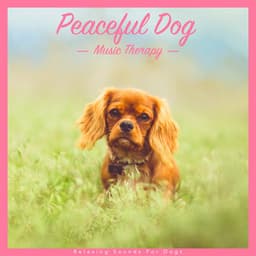 Peaceful Dog Music Therapy: Relaxing Sounds for Dogs - Dog Music Dreams