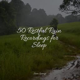 50 Restful Rain Recordings for Sleep - Sleep Songs 101