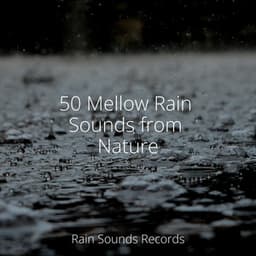 50 Mellow Rain Sounds from Nature - Lullabies for Deep Meditation