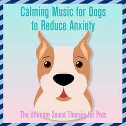 Calming Music for Dogs to Reduce Anxiety : The Ultimate Sound Therapy for Pets - Relaxmydog