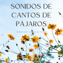 Sonidos De Cantos De Pájaros Tranquilos Y Cuenco De Cristal - Hola Pájaros