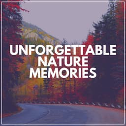 Unforgettable Nature Memories - Zen Garden Secrets