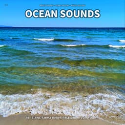 ** Ocean Sounds for Sleep, Stress Relief, Relaxation, Lying Down - Beach Sounds