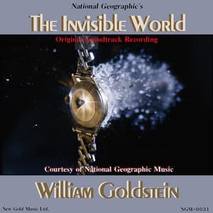 The Invisible World - William Goldstein