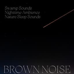 Swamp Sounds, Nighttime Ambience, Nature Sleep Sounds, Brown Noise, Loopable - Noise Colours