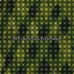 48 Coursework Preperation - Study Concentration