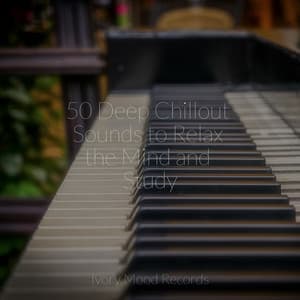 50 Deep Chillout Sounds to Relax the Mind and Study - Ivory Mood