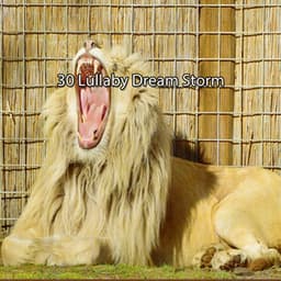 30 Lullaby Dream Storm - Piano and Thunderstorm