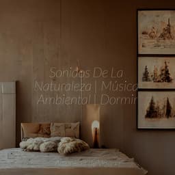 Sonidos De La Naturaleza | Música Ambiental | Dormir - New Age