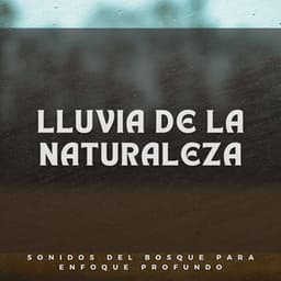 Lluvia De La Naturaleza: Sonidos Del Bosque Para Enfoque Profundo - Danny sonidos de lluvia
