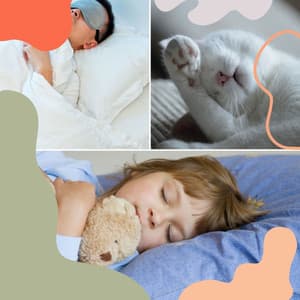 Contemporary Indian Chill Out Music - Background for Deep Sleeping - Relaxing ASMR