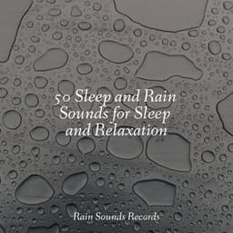 50 Sleep and Rain Sounds for Sleep and Relaxation - Sleep Sounds of Nature
