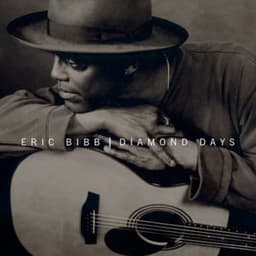 Diamond Days - Eric Bibb