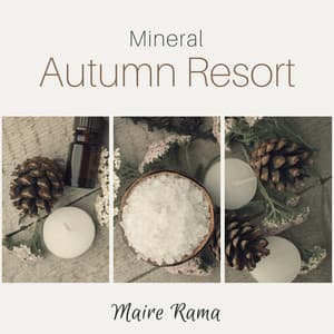 Mineral Autumn Resort - Maire Rama