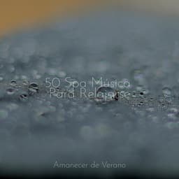 50 Spa Música Para Relajarse - Musica Para Estudiar Academy