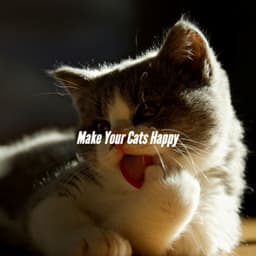 Make Your Cats Happy - Coffeehouse Jazz