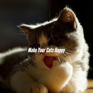 Make Your Cats Happy - Coffeehouse Jazz