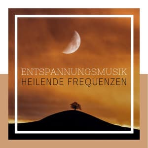 Entspannungsmusik Heilende Frequenzen: Delta-Wellen gegen Schlaflosigkeit - Entspannungsmusik Spa