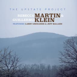 Upstate - Rebecca Martin