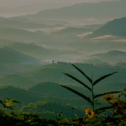 Zenith Zen - Floating Melodies