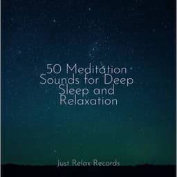 50 Meditation Sounds for Deep Sleep and Relaxation - Nursery Rhymes Club