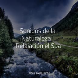 Sonidos de la Naturaleza | Relajación el Spa - Relajantes sonidos de lluvia