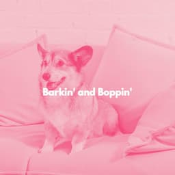 Barkin' and Boppin' - Radio de Jazz Suave