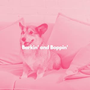Barkin' and Boppin' - Radio de Jazz Suave
