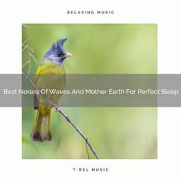 Best Noises Of Waves And Mother Earth For Perfect Sleep - The Noise Project