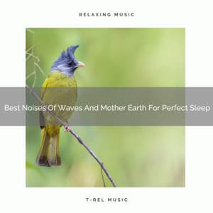 Best Noises Of Waves And Mother Earth For Perfect Sleep - The Noise Project